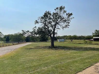 Denton Foundation Repair